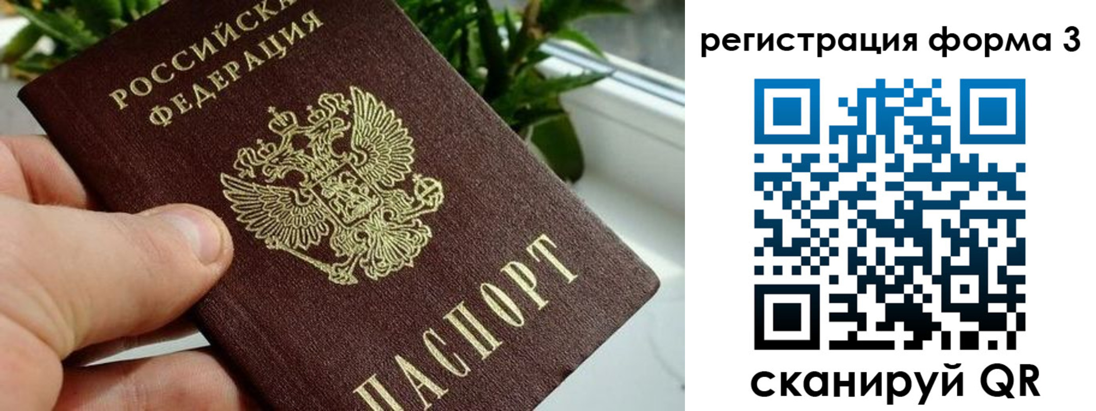 прописка штамп в Киселёвске